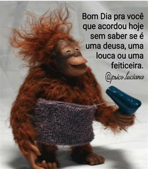 Bom Dia com Humor: Frases Engraçadas para Começar o Dia。